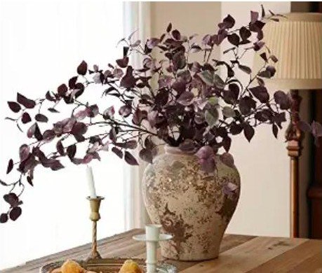 Fall eucalyptus stems in a terracotta vase